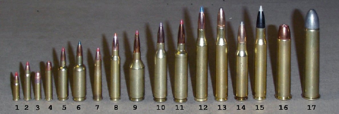 25-06 vs 30-06 Review & Comparison 