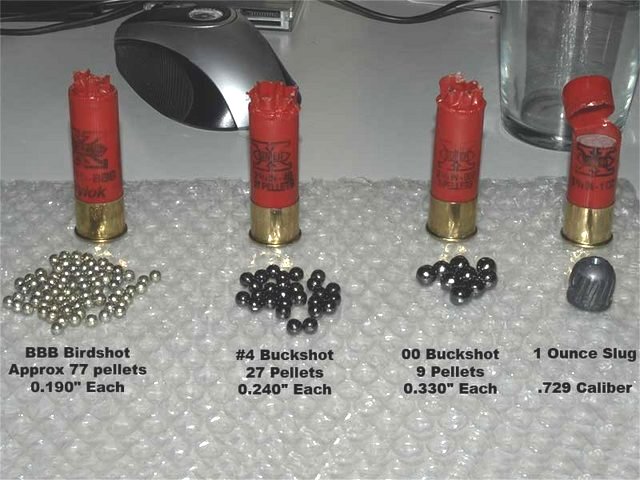 Shotgun Ammo Chart